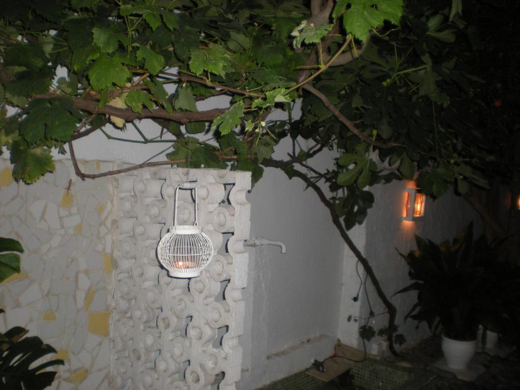 Manolis' House Apart otel İskados Dış mekan fotoğraf