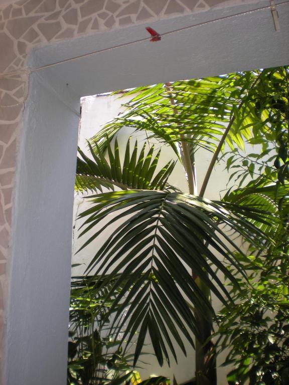 Manolis' House Apart otel İskados Dış mekan fotoğraf